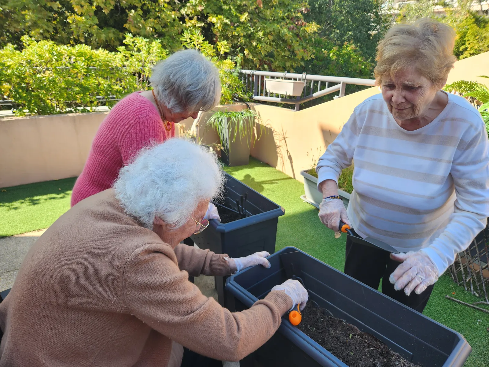 Jardin thérapeutique